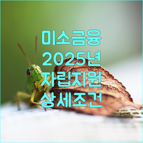미소금융 2025년, 취약계층 자립 지원 상세 조건 확인하세요