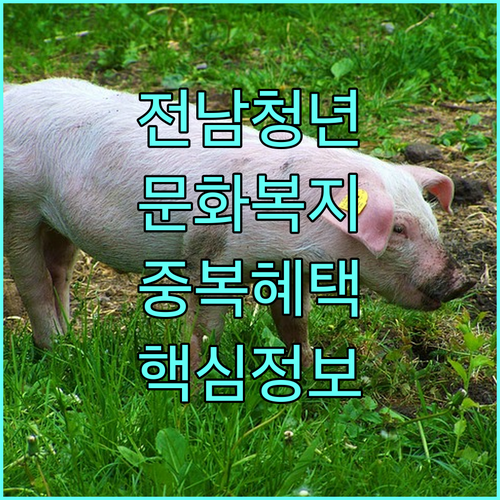 2025 전남청년 문화복지카드: 중복 혜택 제한 및 신청 핵심 정보