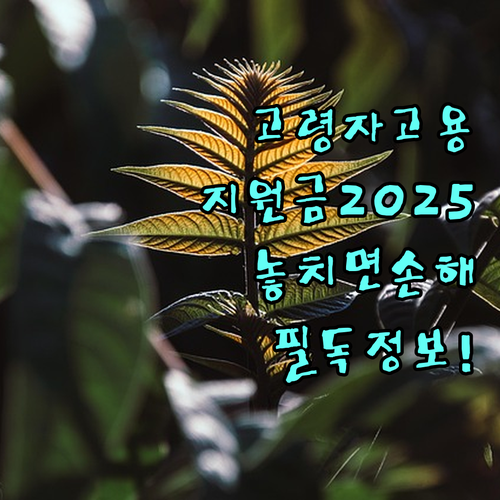 고령자 고용 기업을 위한 2025년 고용지원금: 놓치면 손해!