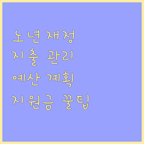 노년 재정, 지출 관리가 답이다: 예산 계획, 소비 습관, 정부 지원금 받는 법