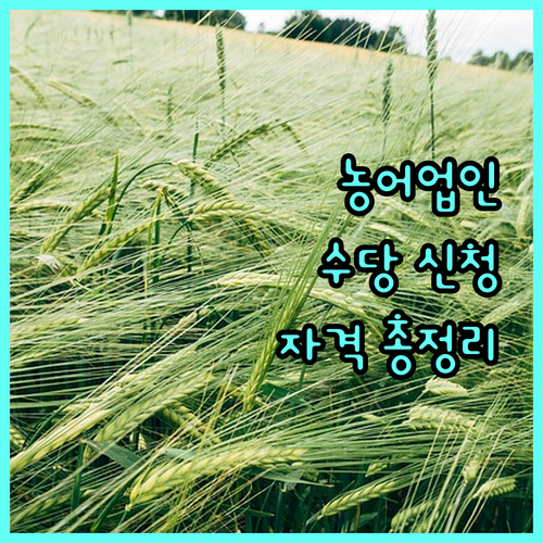2025년 경상남도 농어업인수당 신청 자격, 방법, 제외 대상 상세 안내