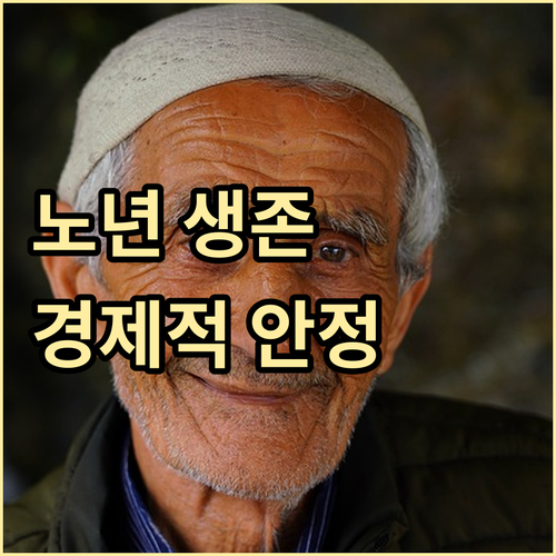 노년 경제적 안정, 고령화 시대 생존 전략: 정부 지원과 개인 노력
