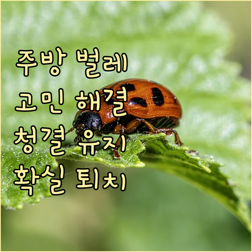 여름철 주방 벌레 고민 해결: 청결 유지부터 확실한 퇴치까지