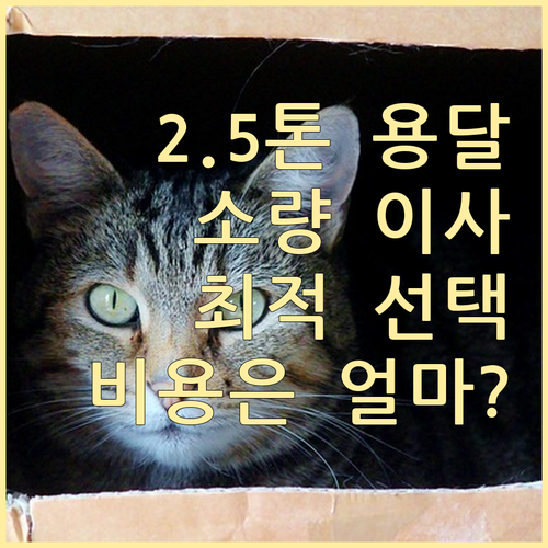 2.5톤 용달이사: 소량 짐 이사에 최적, 비용은 얼마나?