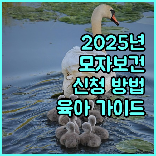 2025년 표준 모자보건수첩, 건강한 육아의 첫걸음! 신청 방법 완벽 가이드