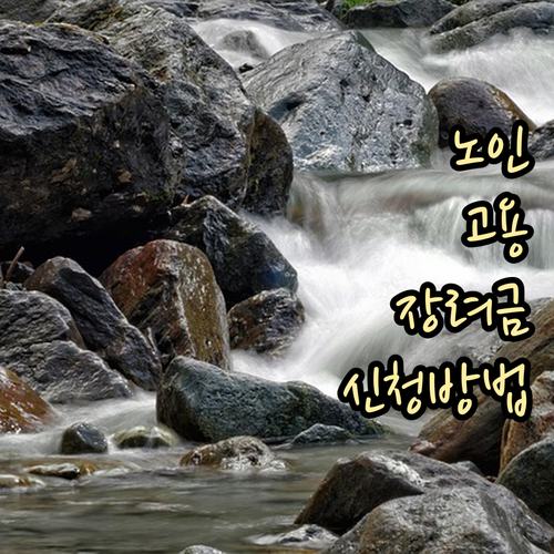 노인 고용장려금 신청 방법: 대상, 요건, 절차 완벽 정리