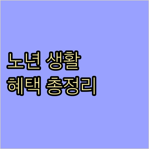 풍요로운 노년 생활: 정부 및 지자체 복지 혜택 총정리