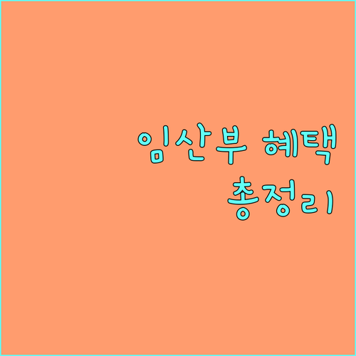 2025 인천 임산부 혜택 총정리: 건강관리 지원금 신청 방법
