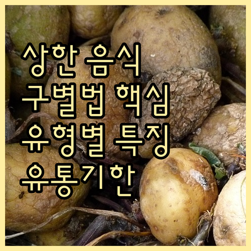상한 음식 구별법 핵심 가이드: 유형별 특징, 유통기한 완벽 분석