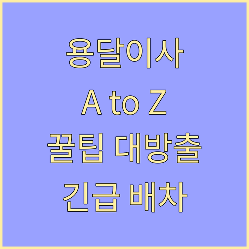 긴급 용달이사 A to Z: 당일 배차, 비용, 놓치면 후회하는 팁