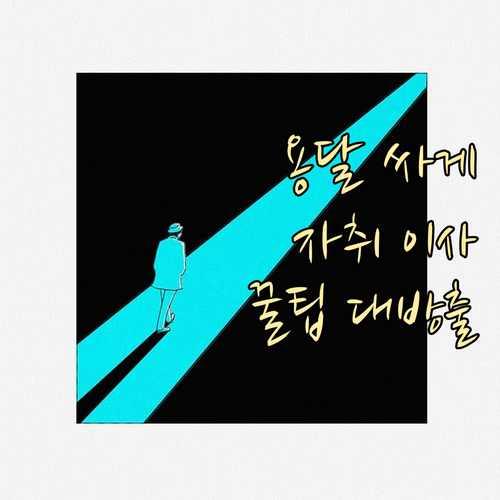자취방 이사, 용달 비용 절약하고 성공적으로 마무리하는 방법