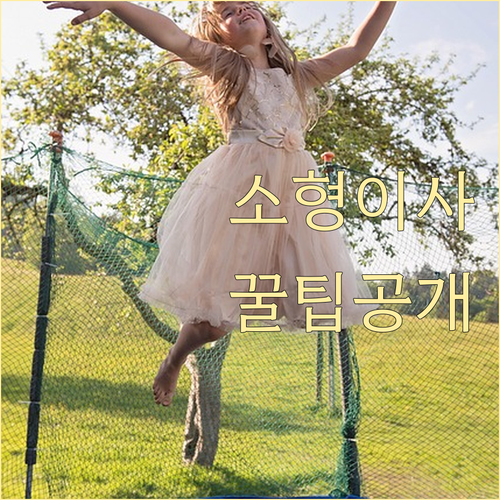 소형 이사 맞춤: 지방 소도시 용달, 비용 절감 노하우 공개