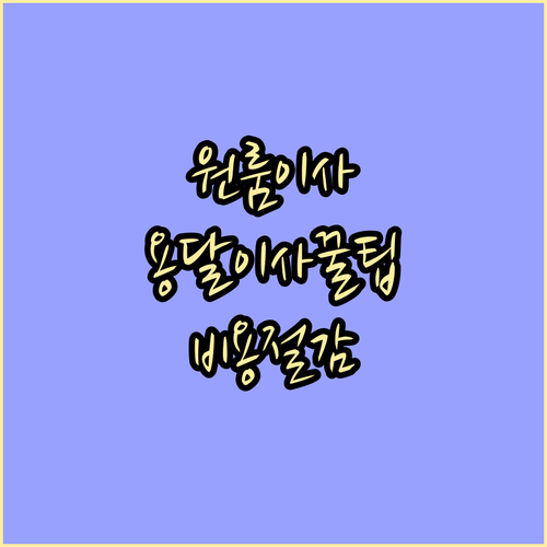 합리적인 원룸 용달이사: 비용 절감 노하우 대방출
