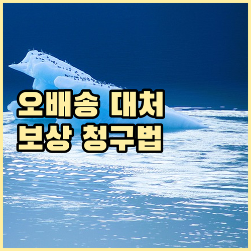 택배 오배송 시 받는 피해 보상, 청구 방법 완벽 정리