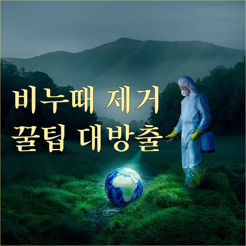 욕실 비누 찌꺼기 제거 도구 선택 및 관리법