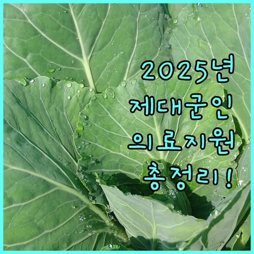 2025년 제대군인 의료지원 완벽 안내: 대상, 혜택, 신청 방법 총정리