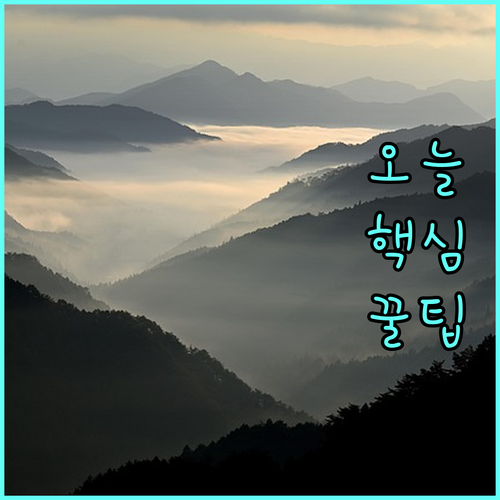 김천시 임신지원금 2025: 놓치면 손해! 신청 조건과 방법 완벽 분석