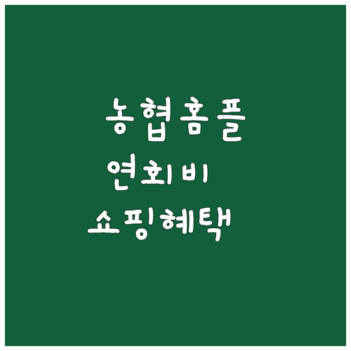 NH농협 홈플러스 카드: 연회비 걱정 없이 쇼핑 혜택 누리기