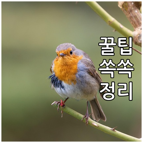 연지동 도시가스 안전 점검! 코원에너지서비스가 알려주는 팁