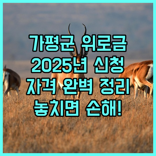 2025 가평군 광복회원 위로금 신청 자격 및 지급액 완벽 정리
