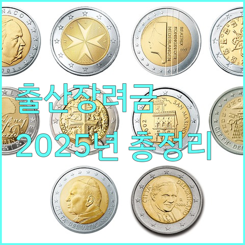 2025 진도군 출산장려금 얼마 지원 자격 및 신청 방법