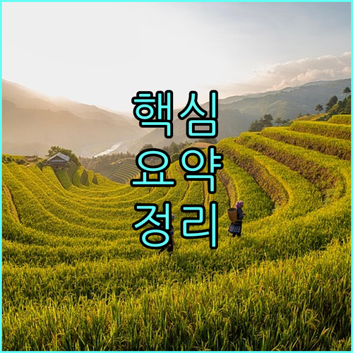 2025 전라남도 다문화가정 산모 지원: 누가, 어떻게 신청하나요?