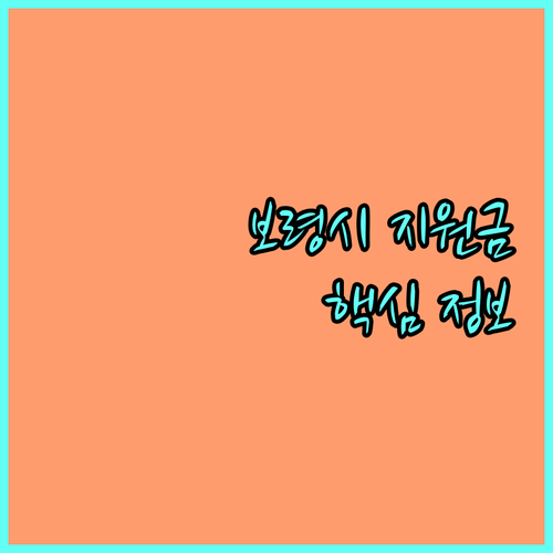 2025 보령시 출산양육지원금 핵심 정보 총정리 자격 조건, 금액, 신청 방법