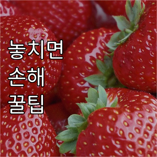 1588-5788! 창신동 도시가스 요금 조회 및 납부 총정리