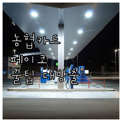 NH농협카드 & 페이코, 똑똑하게 쓰는법: 꿀팁 대방출