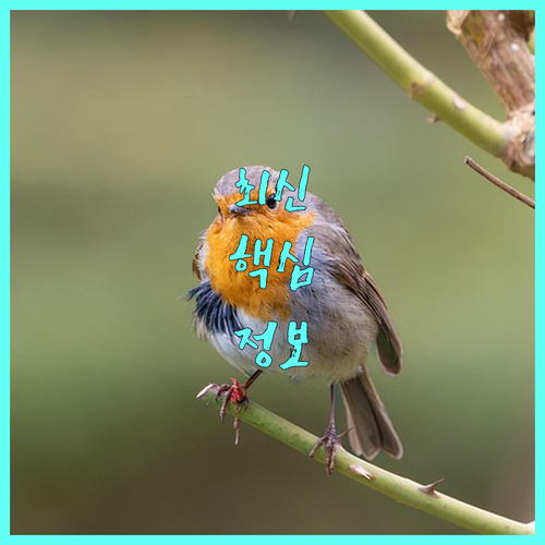옹진군 2025 난임 지원: 약제비 신청 자격, 기간, 제출 서류