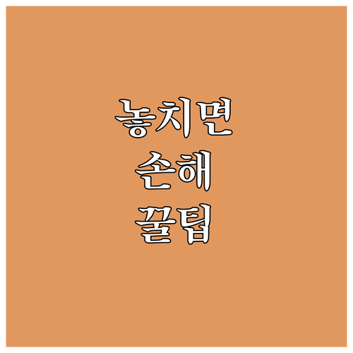 예산군 학자금대출 이자지원 2025 신청 방법과 서류 총정리