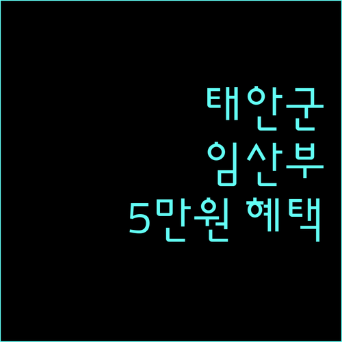 태안군 임산부 검사비 지원 2025: 놓치면 손해, 5만원 혜택 받기