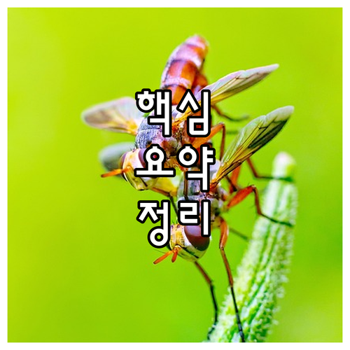 종로구 견지동 도시가스: 코원에너지 고객센터, 서비스, 안전 사용법 완벽 정리