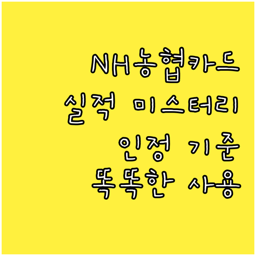 NH농협카드 실적 미스터리 해결! 인정 기준부터 똑똑한 사용법까지