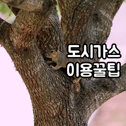 통의동 도시가스 이용꿀팁: 요금 절약, 안전 점검, 긴급 연락처