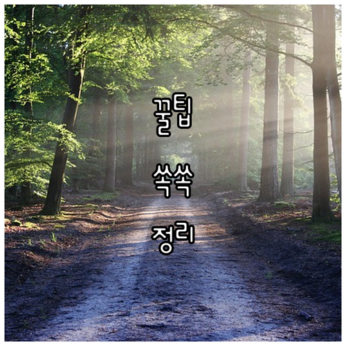 서울 종로구 관훈동 도시가스: 핵심 정보만 모았다! 빠르고 편리하게 이용하세요