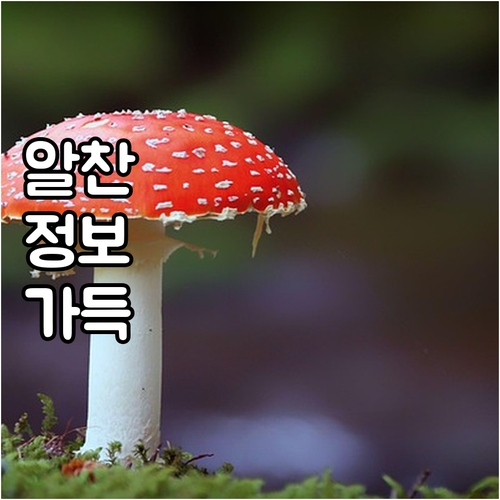 도시가스 복잡한 절차? 예스코 고객센터 한 번에 해결하세요