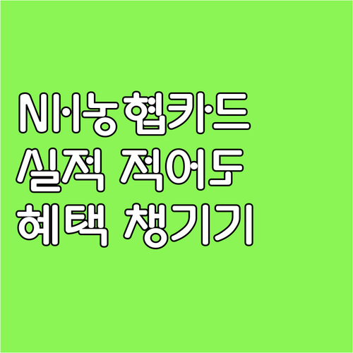 NH농협 실적 적은 카드 똑똑하게 사용하는 방법