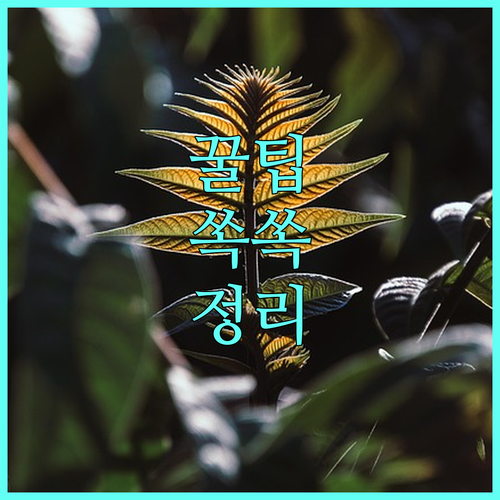 광명시 2025 저소득층 아동 치과 치료 지원 사업, 신청하세요