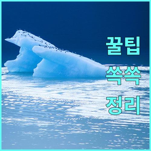 2025 포항시 시민안전보험 활용법: 자동 가입부터 보험금 청구까지, 시민을 위한 완벽 안내