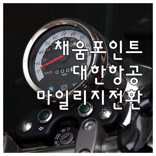 NH농협 채움포인트 대한항공 마일리지 전환: 전환 조건, 비율, 숨겨진 혜택 완벽 분석