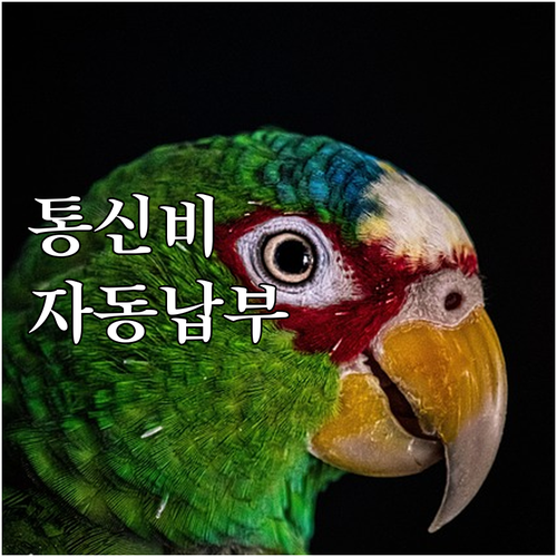 NH농협카드 통신비 자동납부: 혜택, 신청, 유의사항 완벽정리