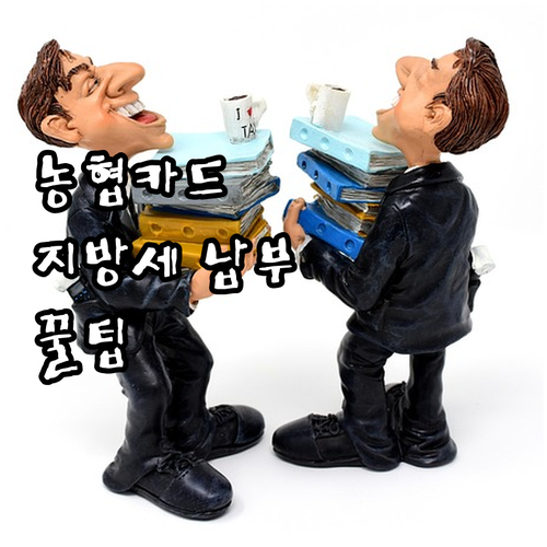 NH농협카드 지방세 납부 완벽 가이드: 세금 종류부터 무이자 할부 조건까지