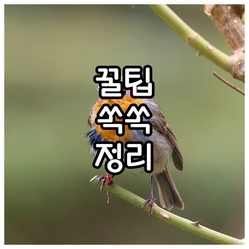 서울도시가스 청진동 고객센터: 온라인 서비스로 편리하게 민원 해결하세요