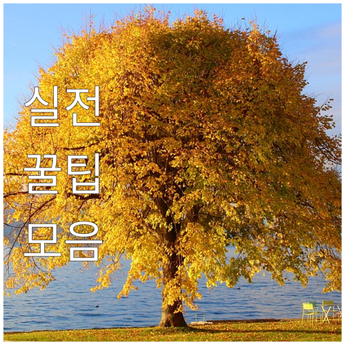 육아휴직 불이익 신고센터로 사업주 강력 처벌 유도