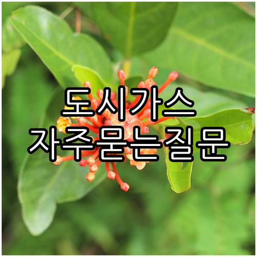 청담동 도시가스: 자주묻는질문(FAQ) 완벽 해설