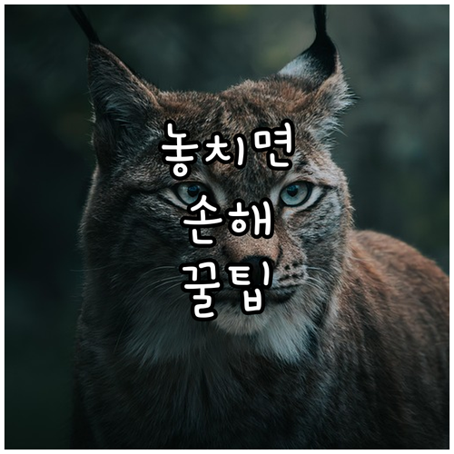 2025 보령시 학자금 이자 전액 지원 당신의 부담 덜어줄 기회