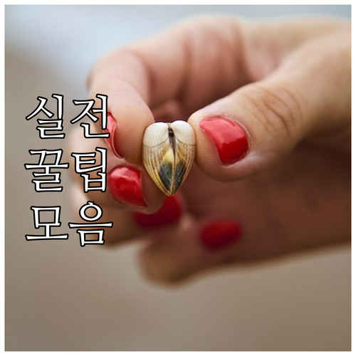서울 종로 돈의동 도시가스 안전 점검과 민원 해결