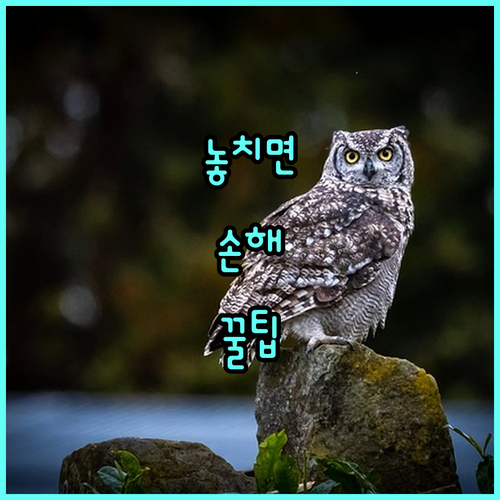울산 소상공인 희소식: 2025 노란우산공제 희망장려금 지원 대상, 신청 정보