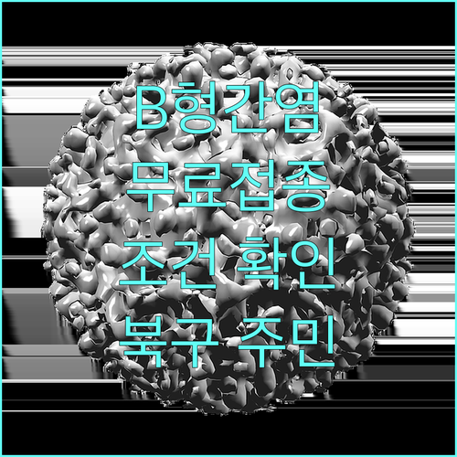 2025년 B형간염 무료 예방접종: 자격 조건과 신청 방법 완벽 가이드 (대구 북구)